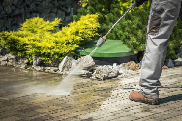 Best Roof Washing  in Wendell, NC