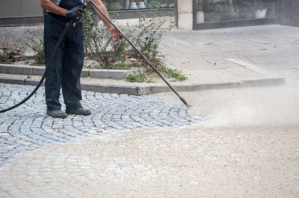 Best Sidewalk and Walkway Cleaning  in Wendell, NC