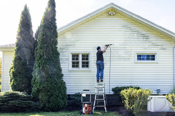 Best Building Exterior Washing  in Wendell, NC